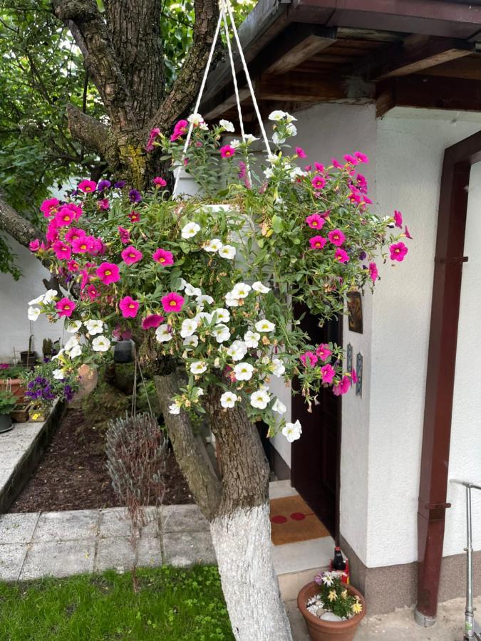 Apartments Music, Garden And Free Parking Sarajevo Exterior photo